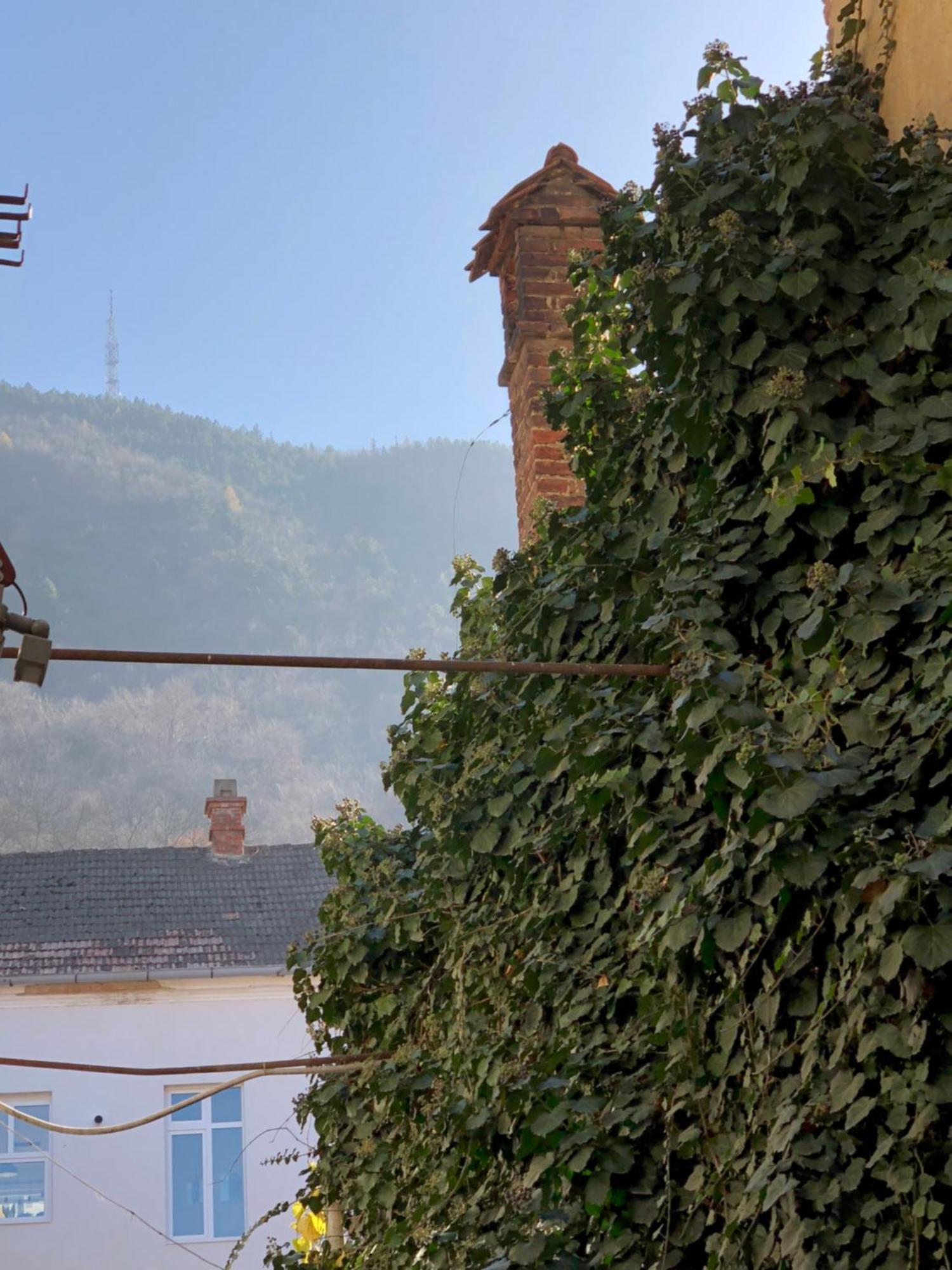 Апартаменты Charming Old Town Flat With Mountain View Брашов Экстерьер фото